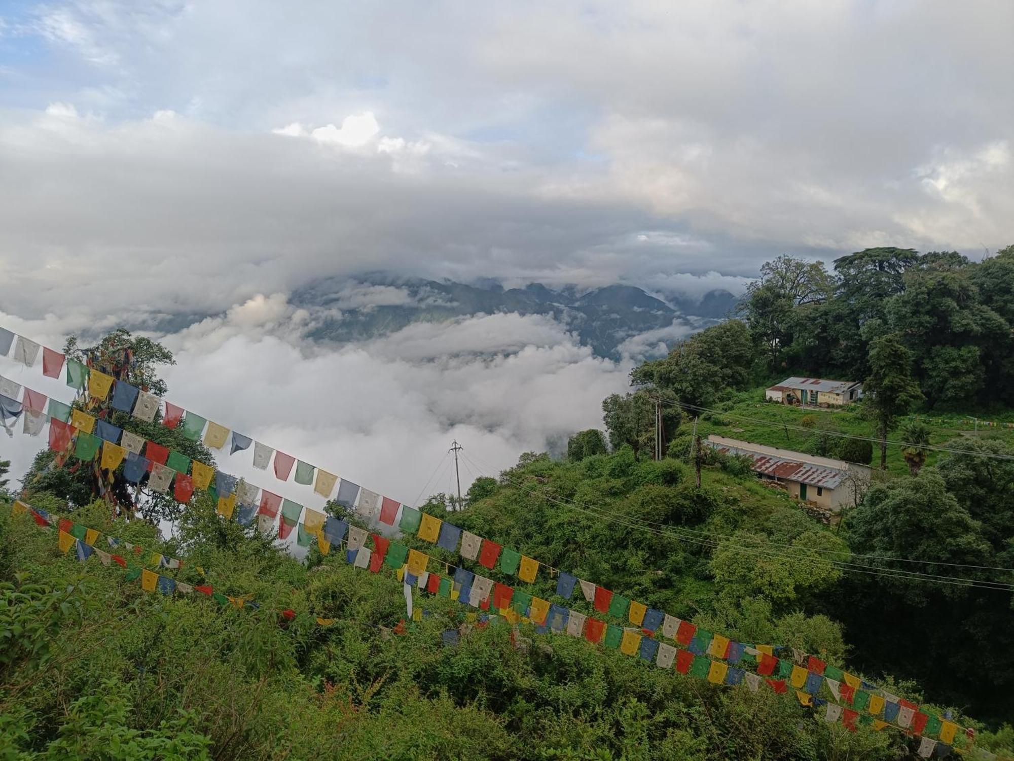 The Sapling Manor Hotell Mussoorie Eksteriør bilde